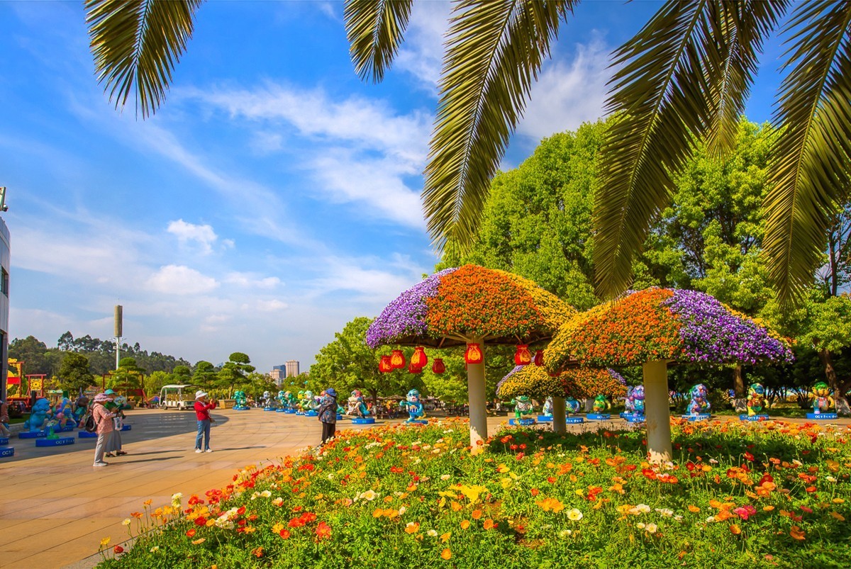 2025-01-19昆明世博园（十三）