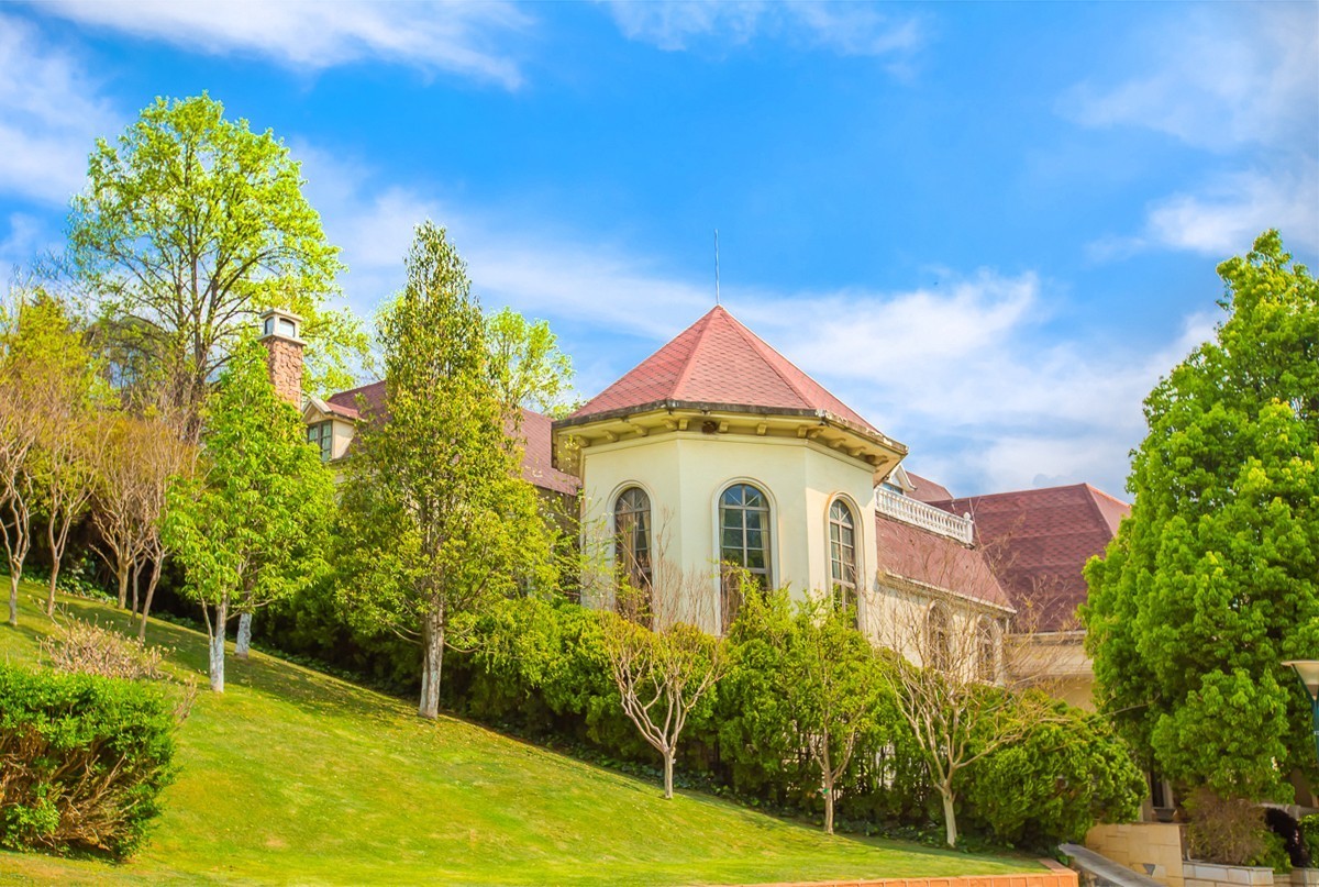 2025-01-19昆明世博园（十三）