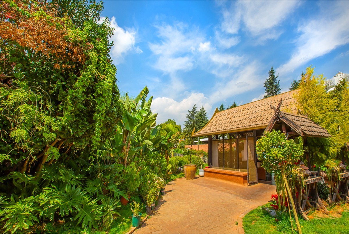 2025-01-19昆明世博园（十三）