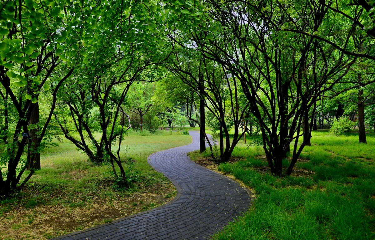 雨后风景最美图片