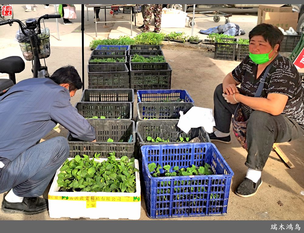 【沙河轶事】周末沙河赶大集