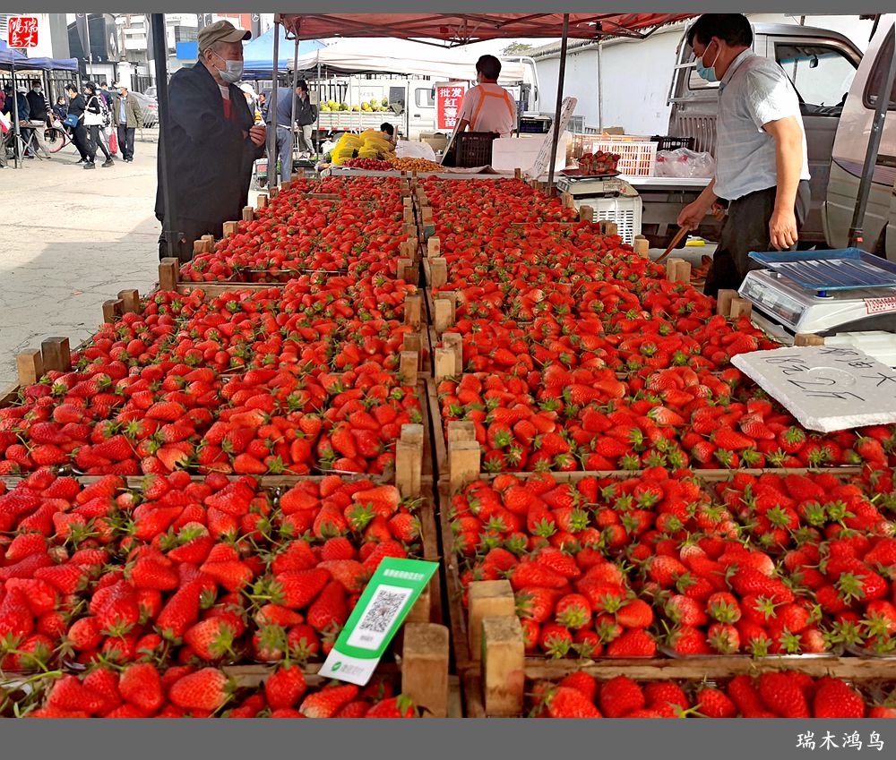 【沙河轶事】周末沙河赶大集