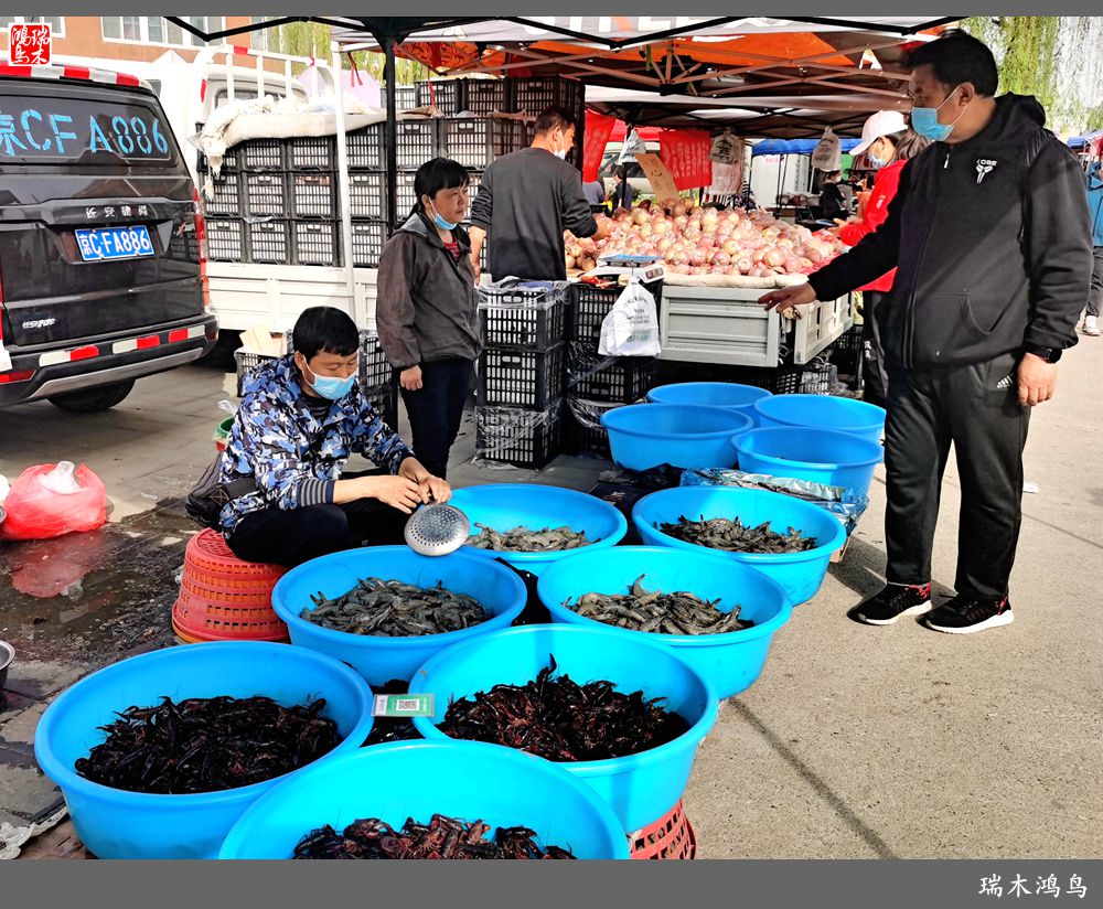 【沙河轶事】周末沙河赶大集