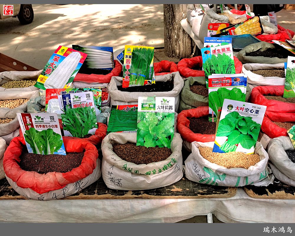 【沙河轶事】周末沙河赶大集