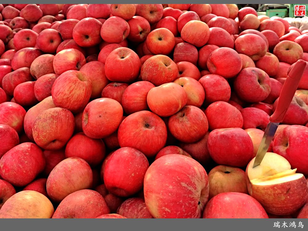 【沙河轶事】周末沙河赶大集