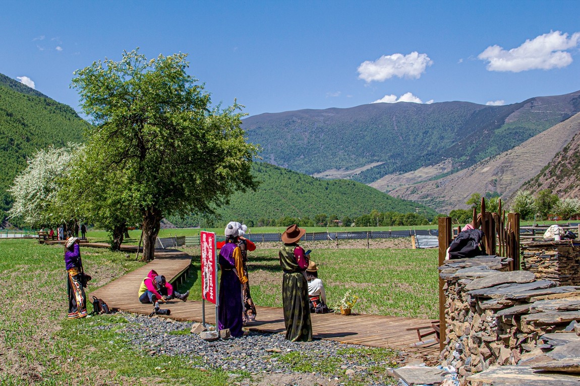川西新都桥--甲根坝【4】俄色花