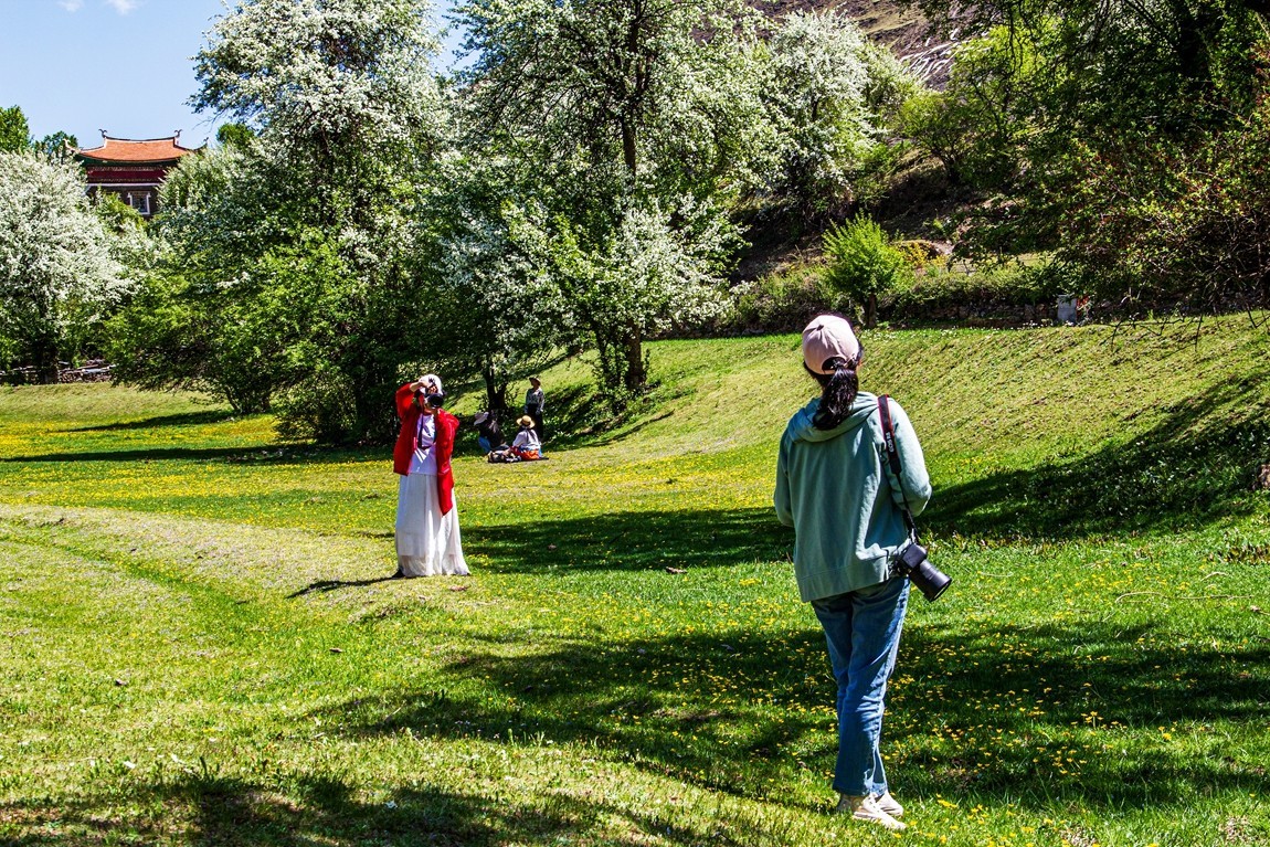 川西新都桥--甲根坝【4】俄色花