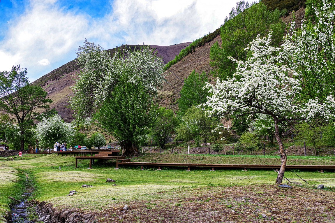 川西新都桥--甲根坝【4】俄色花