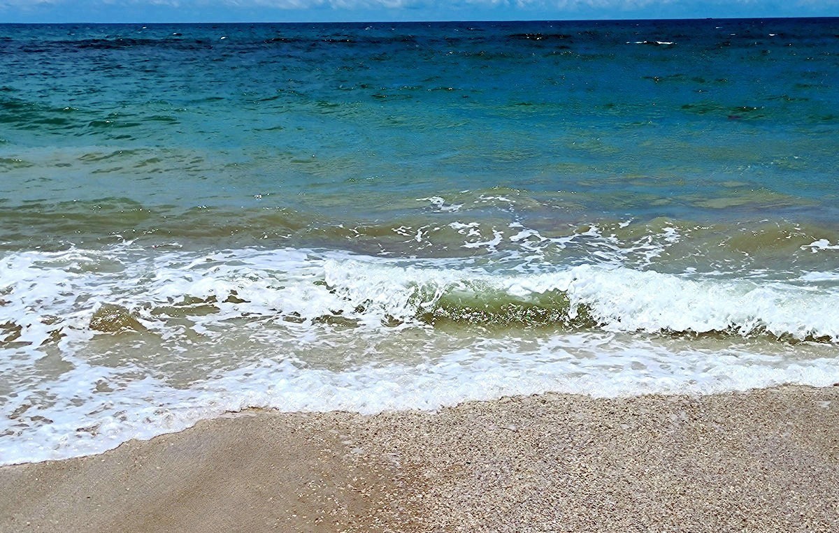 2024夏 海南环岛行（50）文昌椰子鸡