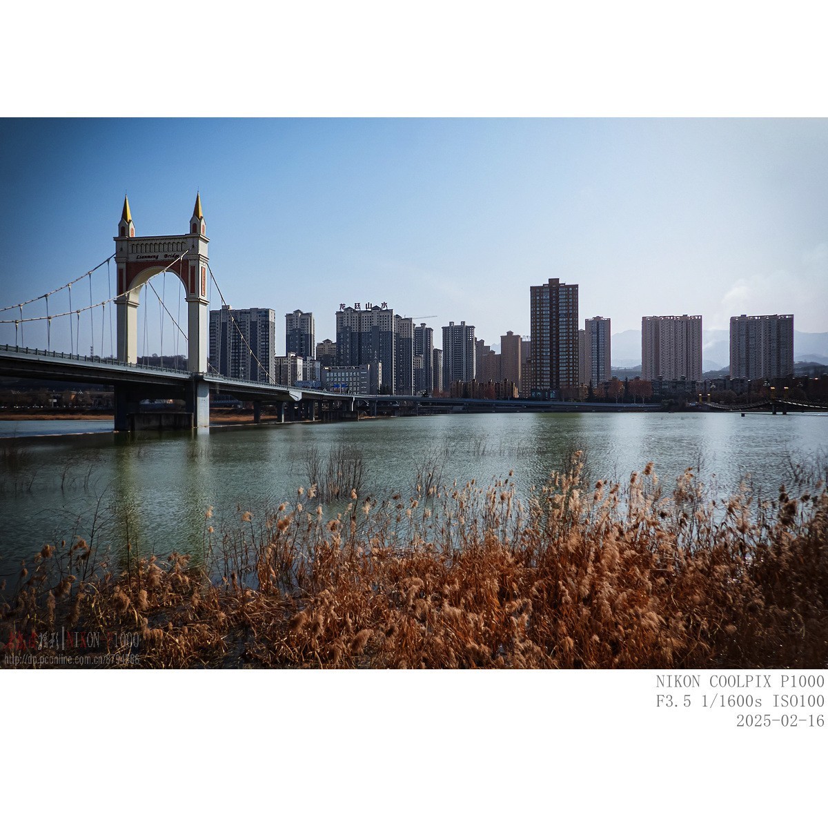 南山下，渭河边，冬日暖阳