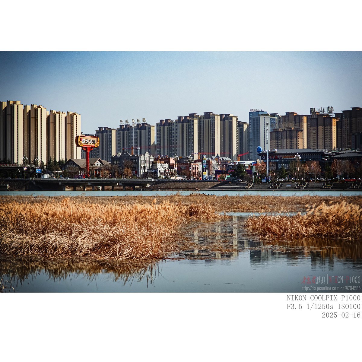 南山下，渭河边，冬日暖阳