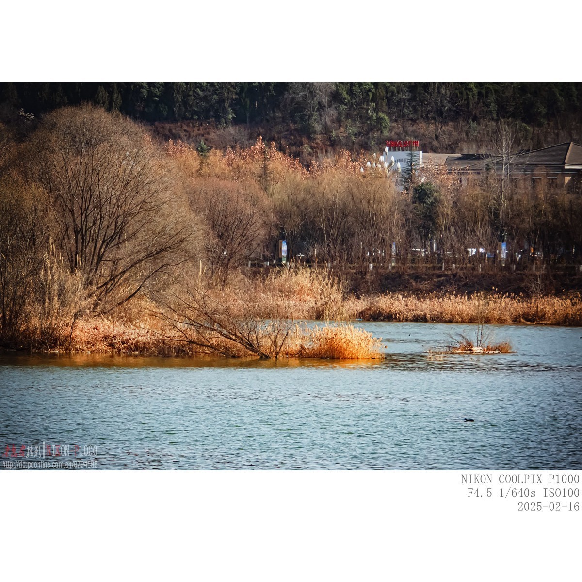 南山下，渭河边，冬日暖阳