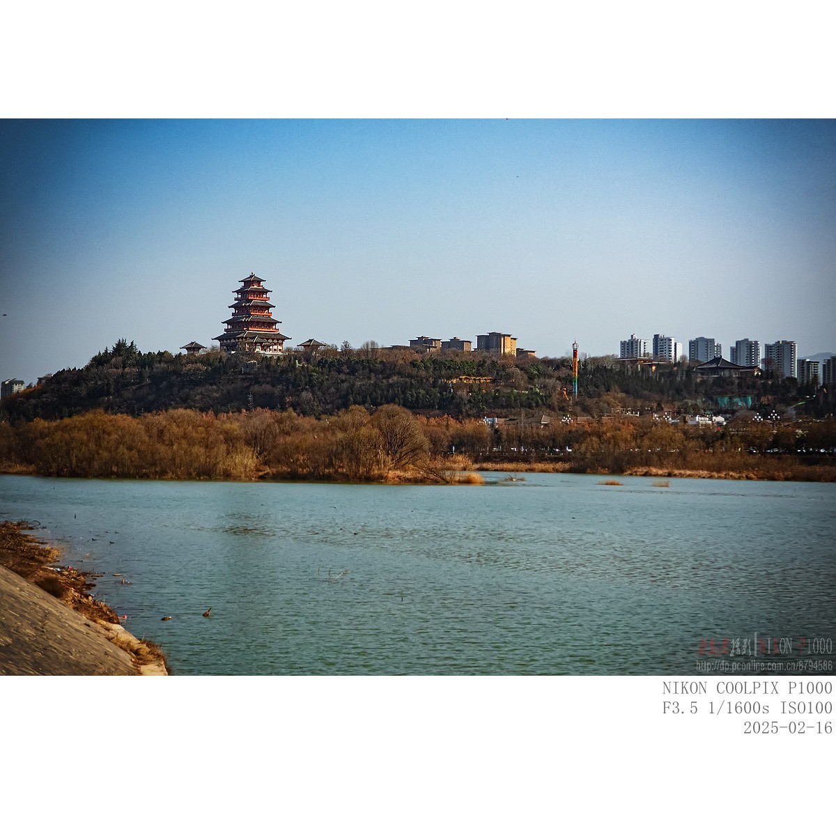 南山下，渭河边，冬日暖阳