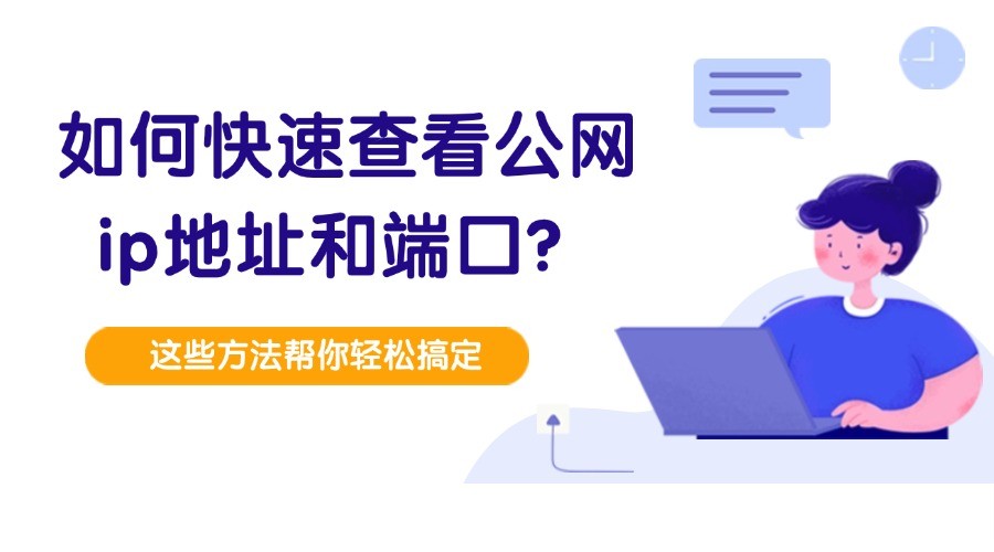 如何快速查看公网ip地址和端口？