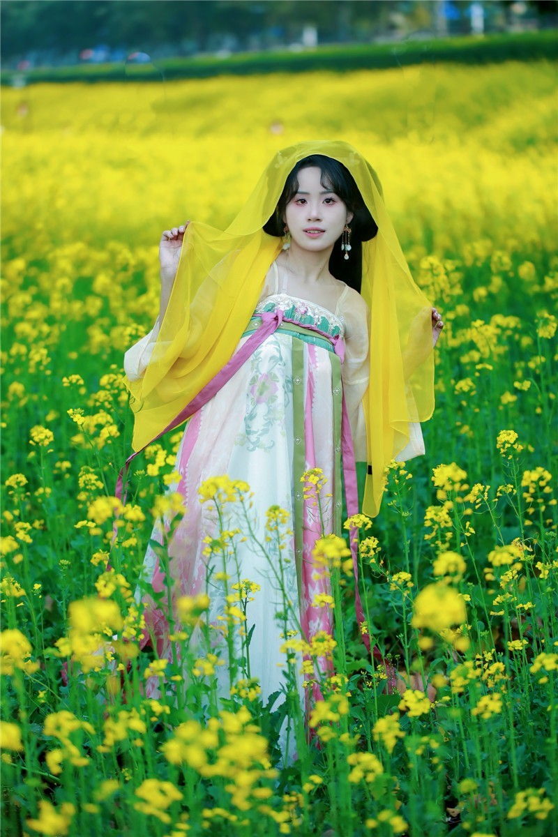 油菜花