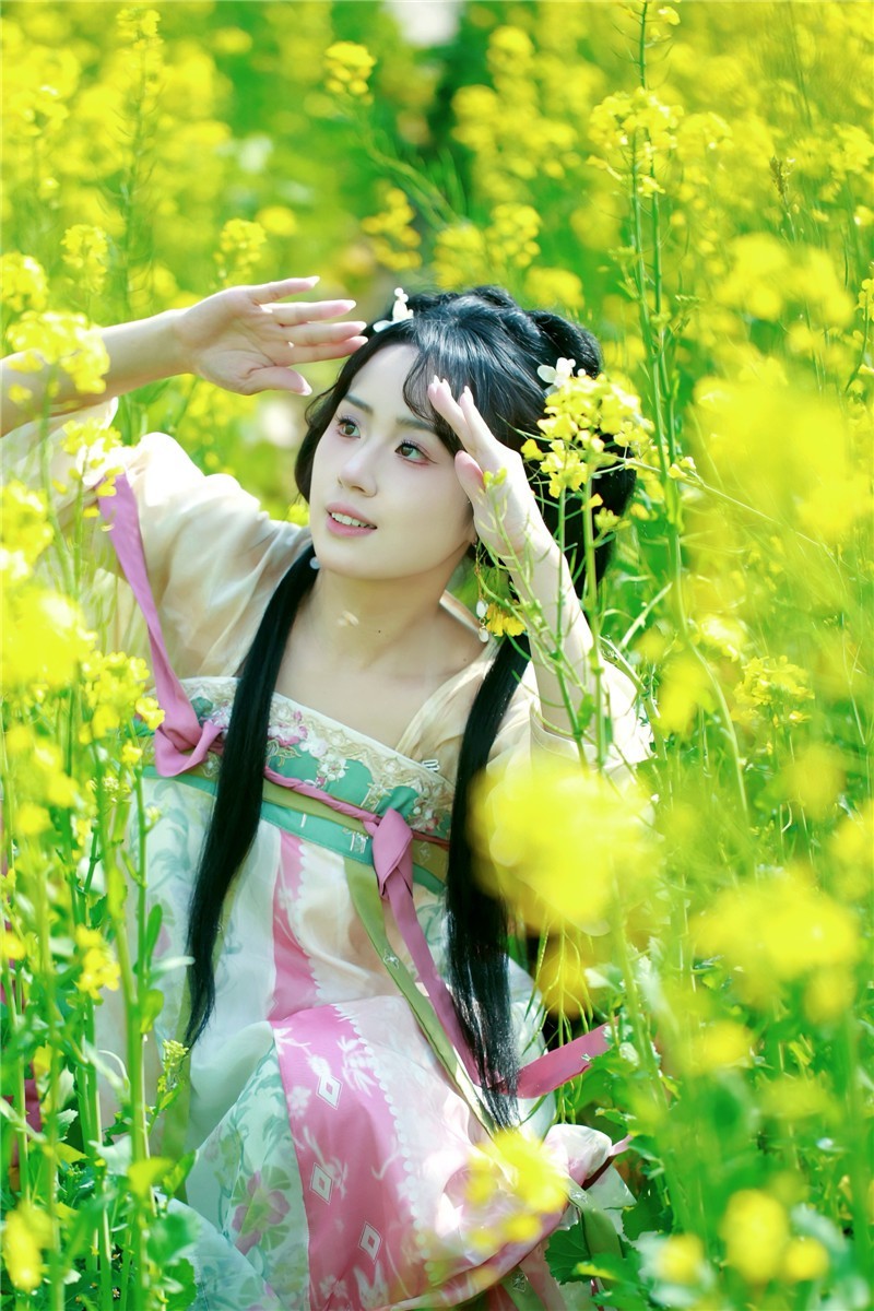 油菜花