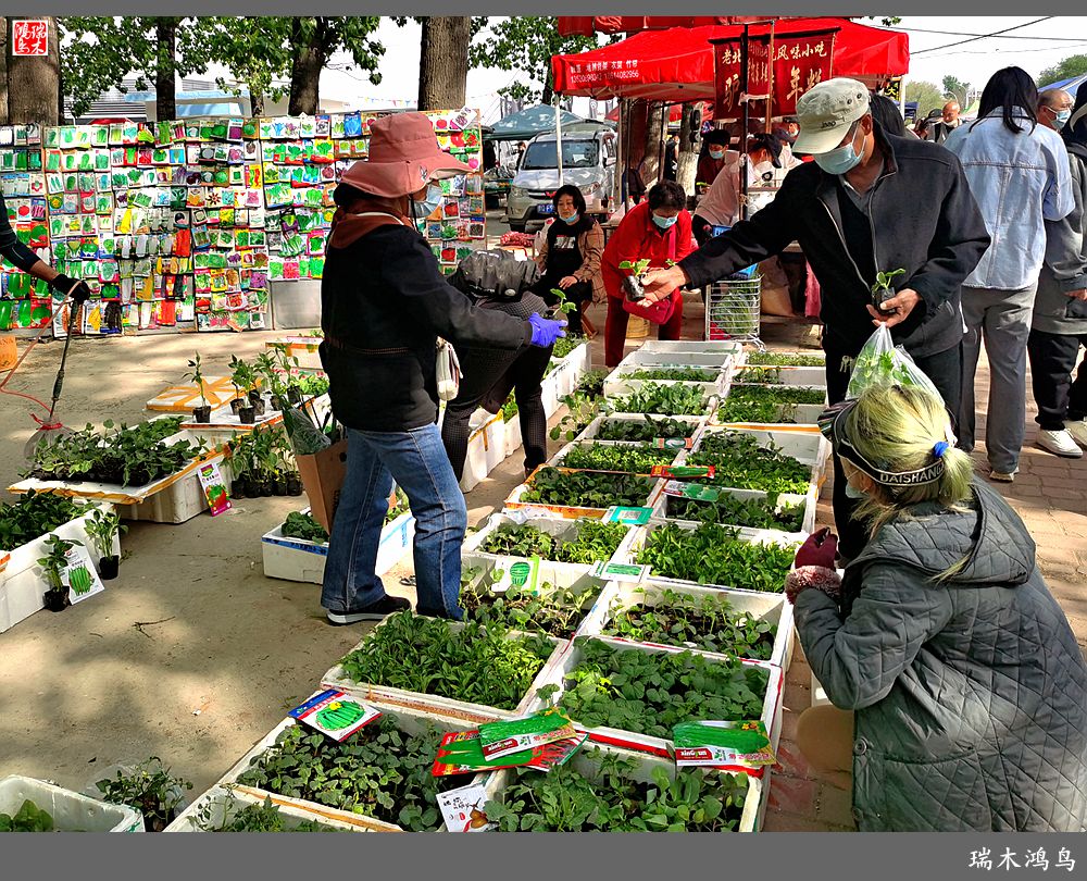 【沙河轶事】周末沙河赶大集