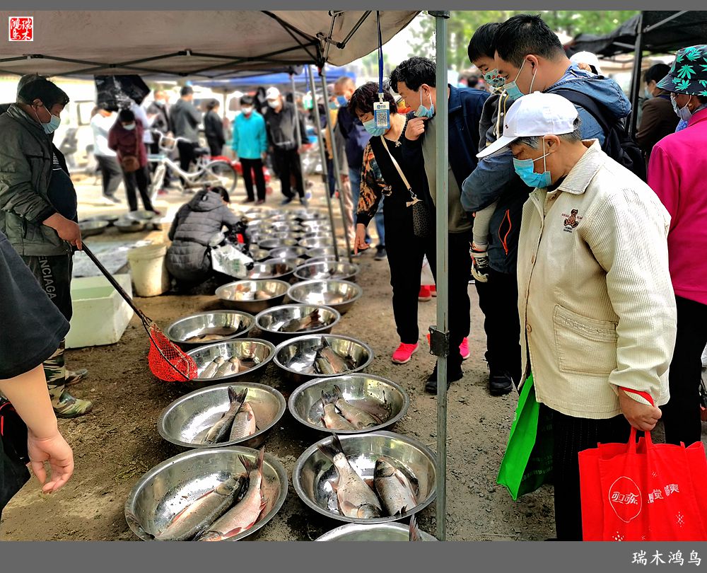 【沙河轶事】周末沙河赶大集