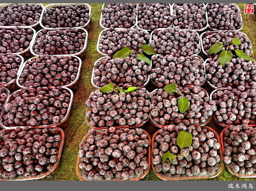 【沙河轶事】周末沙河赶大集