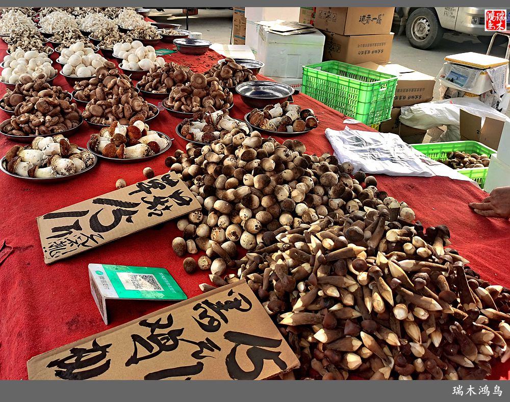 【沙河轶事】周末沙河赶大集