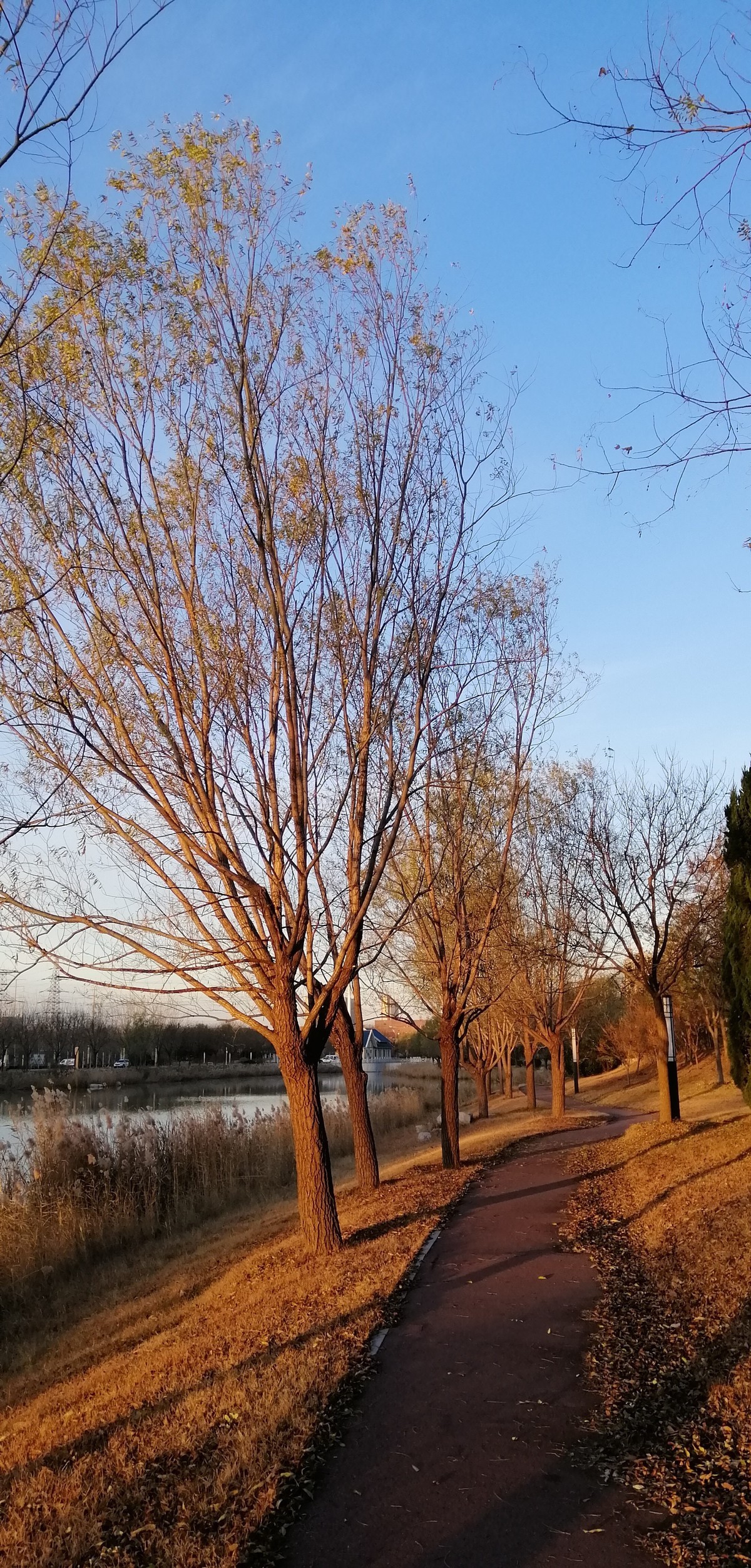 昨刮一天风今天气温降到零下10度