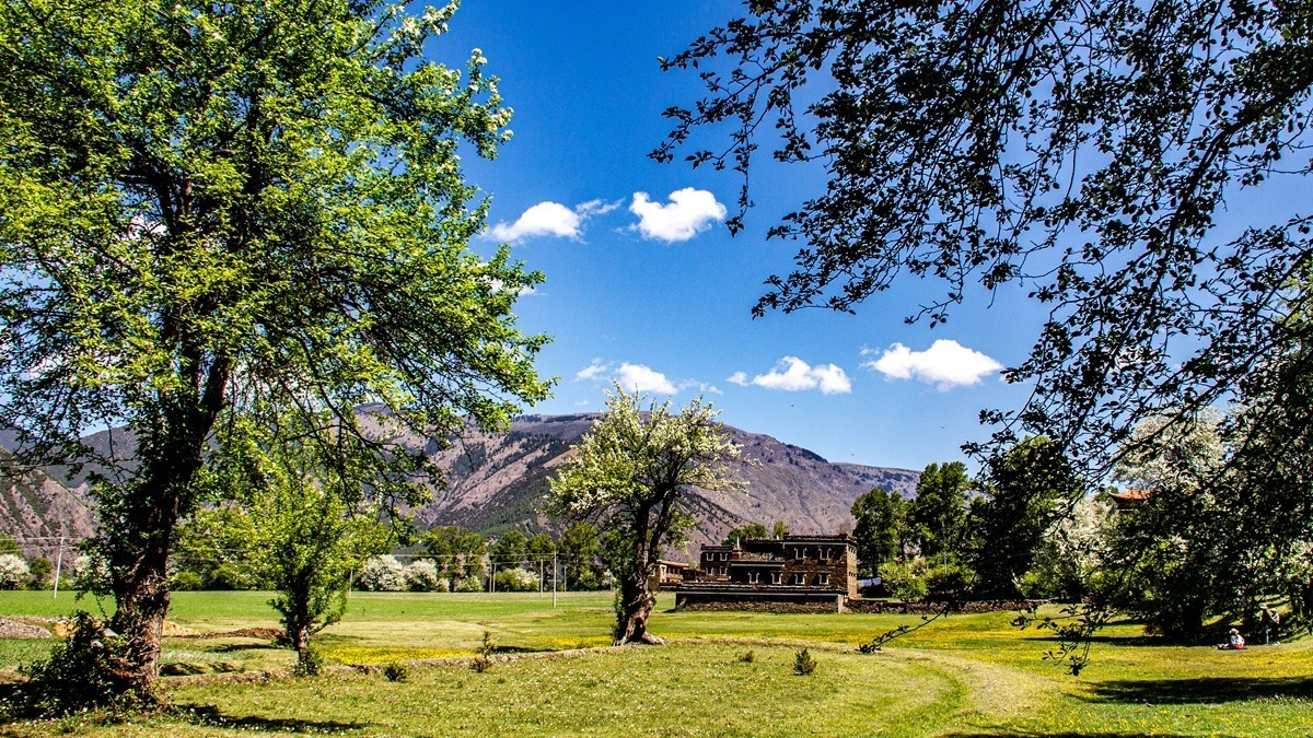 川西新都桥--甲根坝【4】俄色花