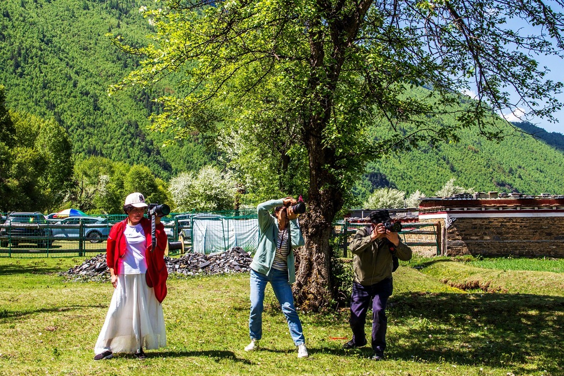 川西新都桥--甲根坝【4】俄色花