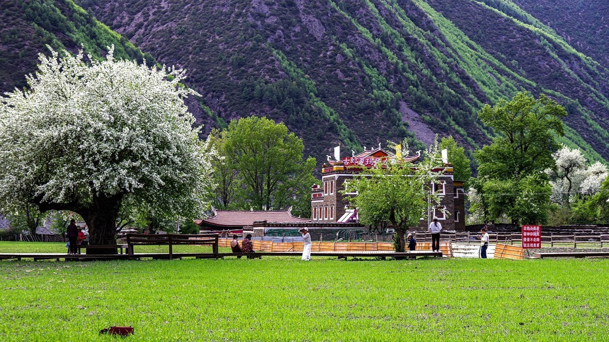 川西新都桥--甲根坝【4】俄色花