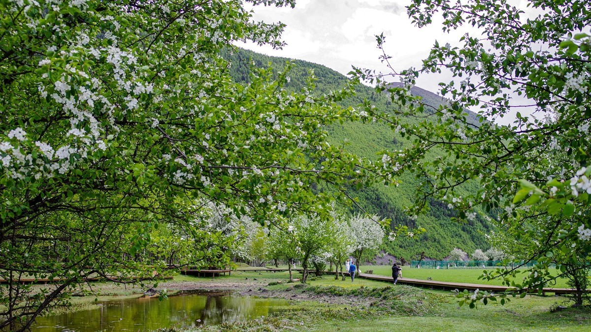 川西新都桥--甲根坝【4】俄色花