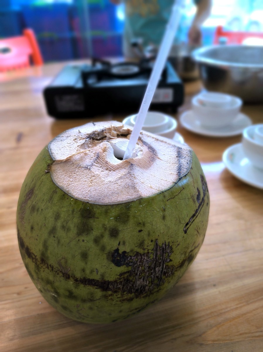 2024夏 海南环岛行（50）文昌椰子鸡