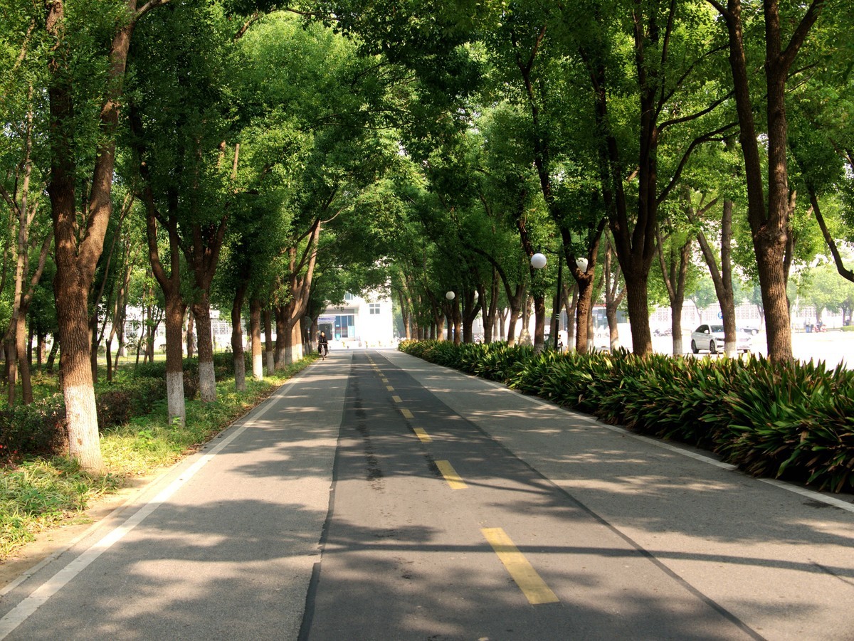 校园随拍===老机器拿出来晒晒太阳！