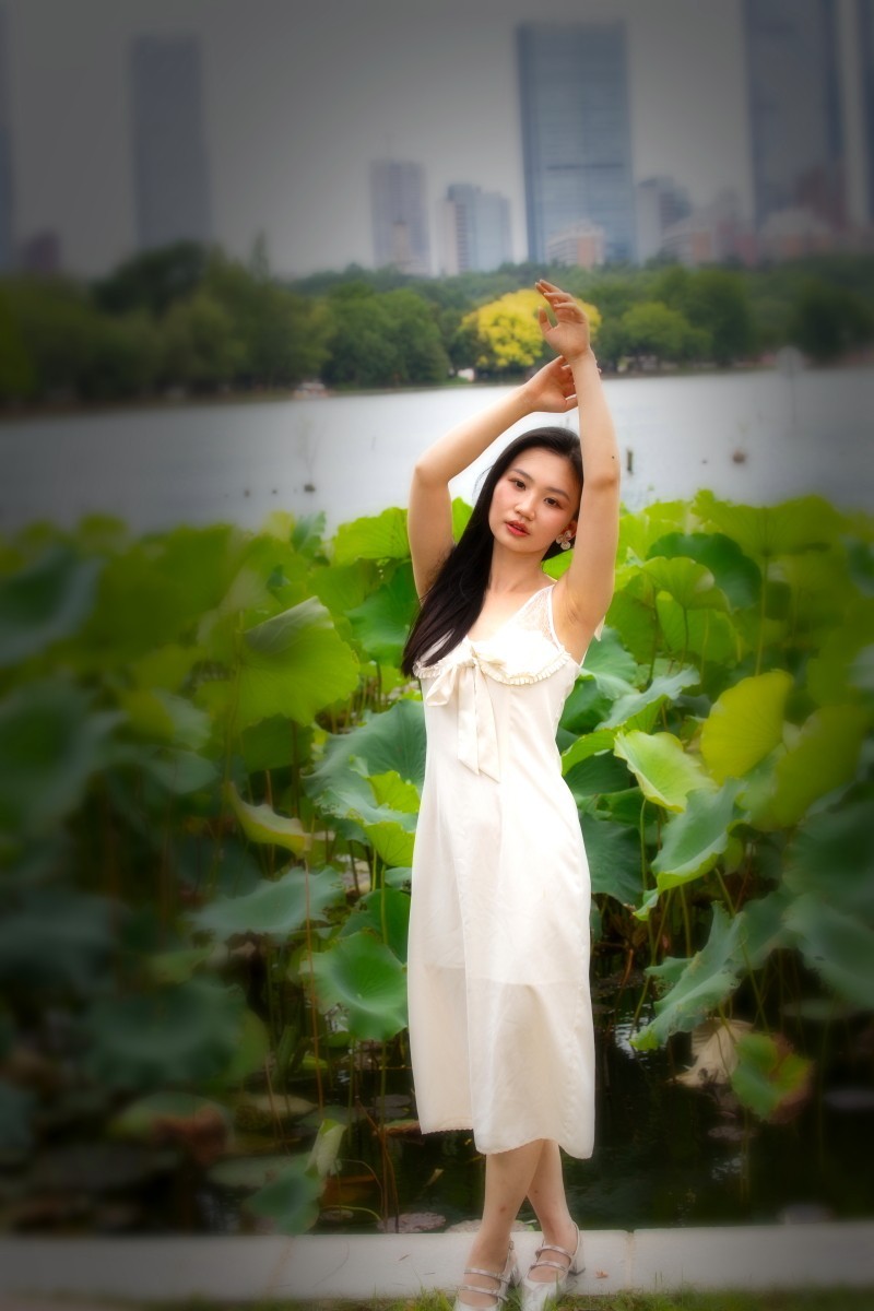 荷花池旁抓拍 11