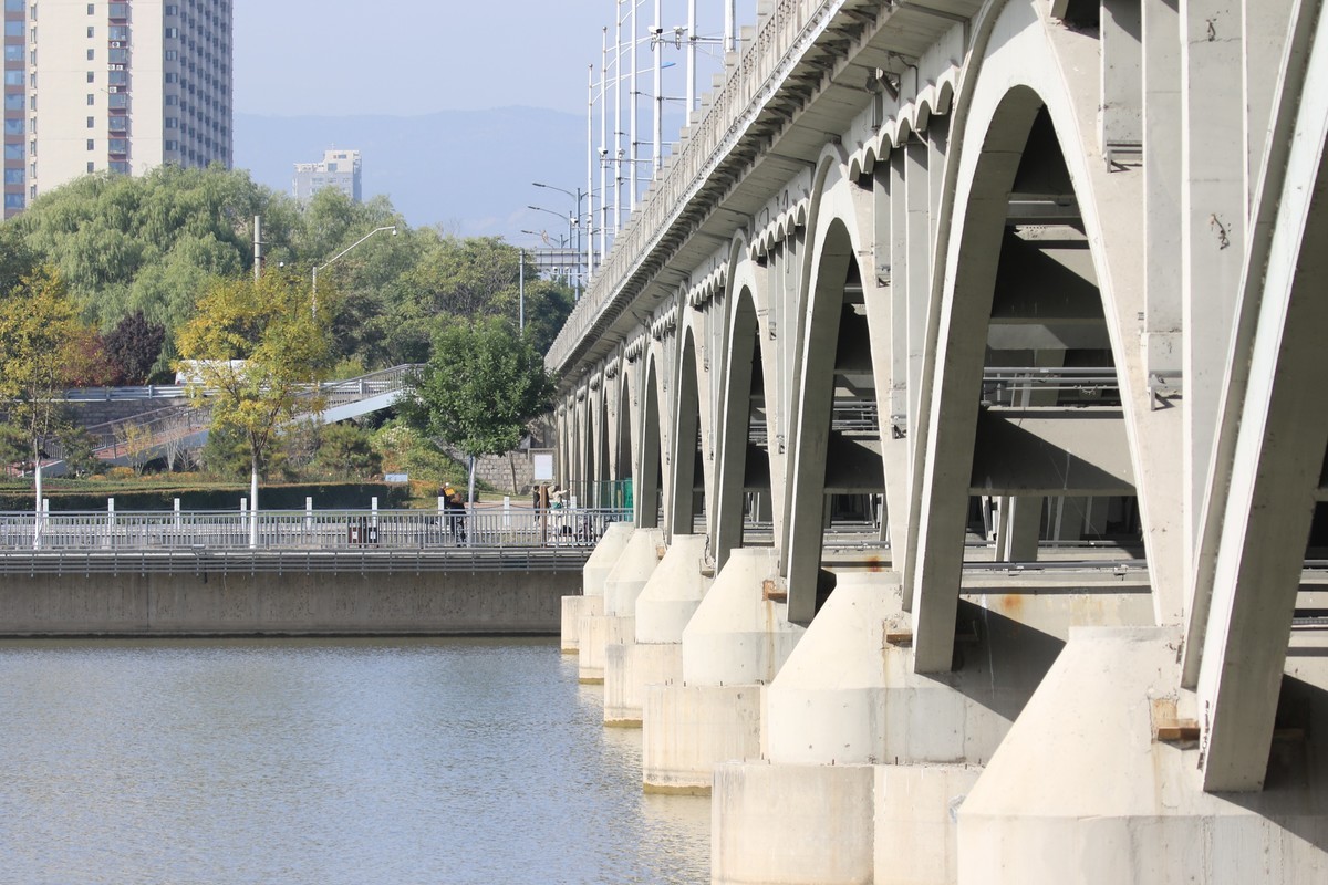 湿地公园的游客