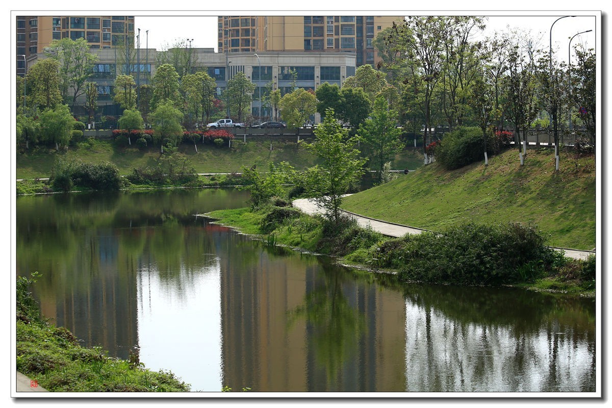 70300(小小黑)已卖纪念