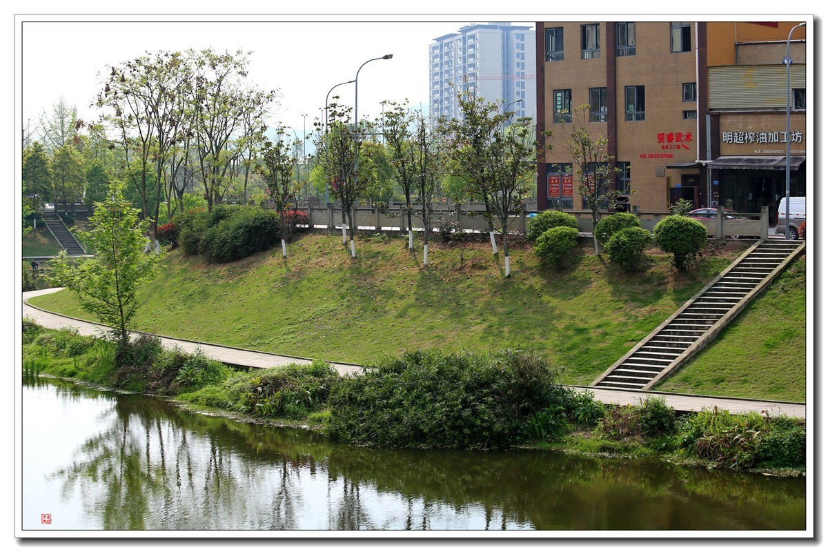 70300(小小黑)已卖纪念