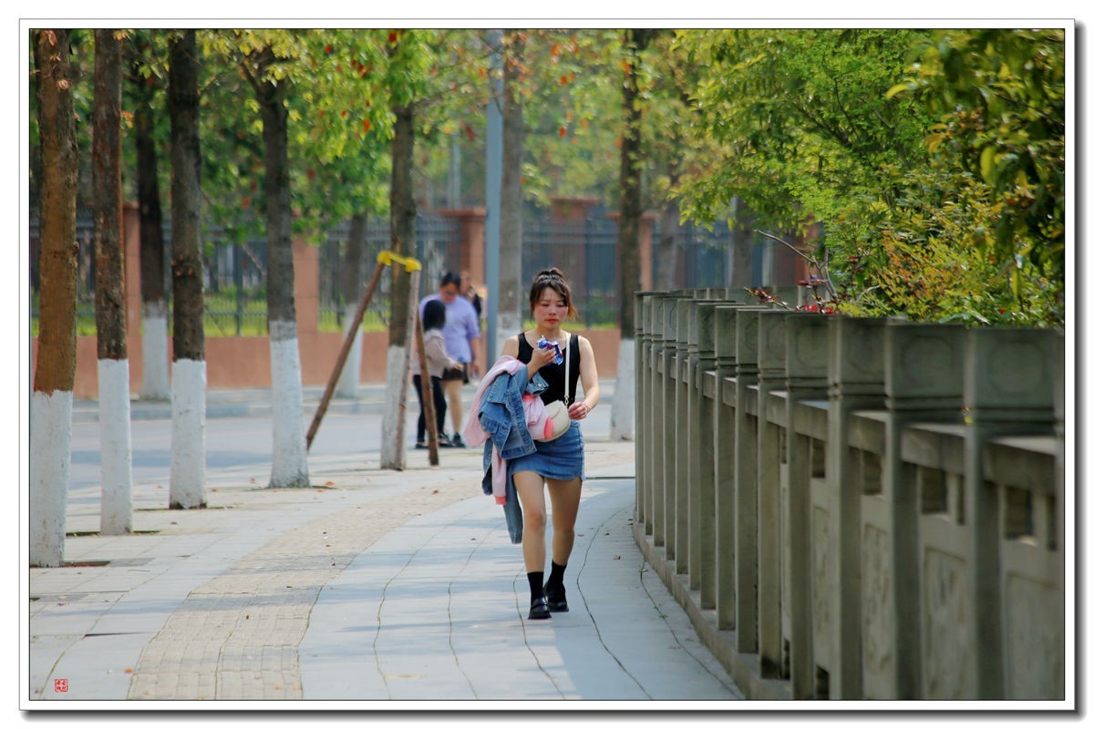 70300(小小黑)已卖纪念