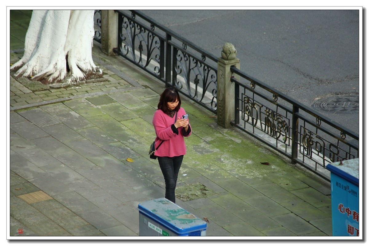 70300(小小黑)已卖纪念