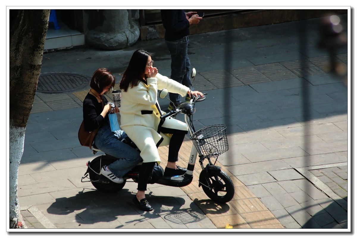 70300(小小黑)已卖纪念