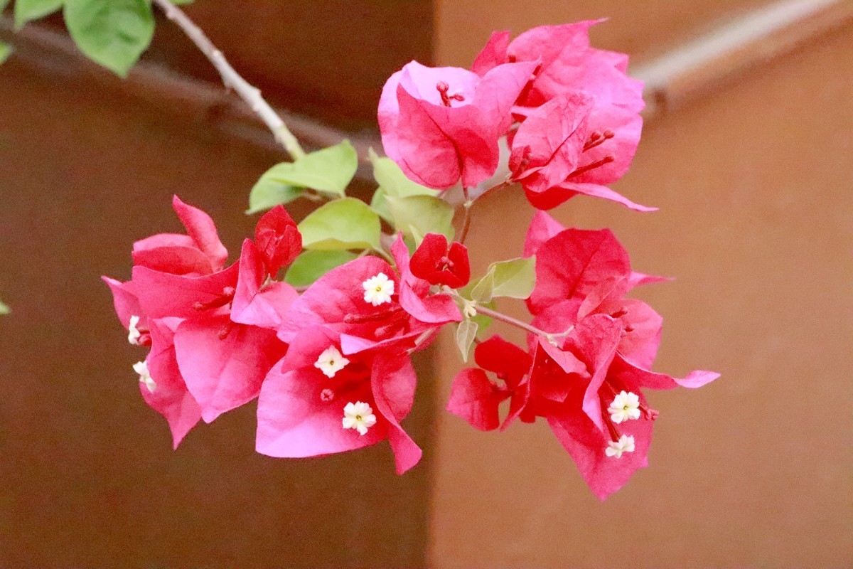 欢庆国庆，游乐园漫游(六)