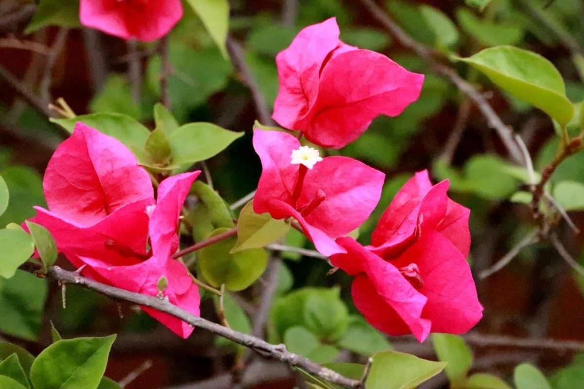 欢庆国庆，游乐园漫游(六)