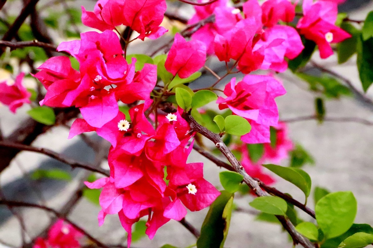 欢庆国庆，游乐园漫游(六)