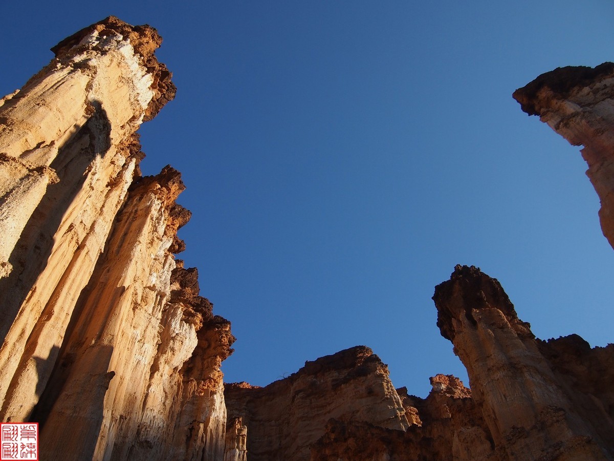 2023.12元谋土林（19）