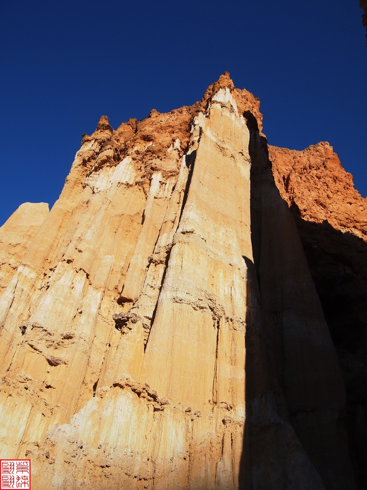 2023.12元谋土林（19）