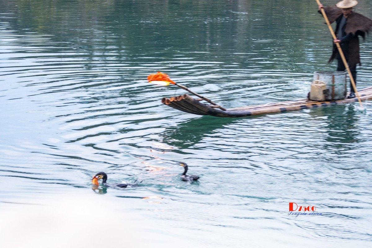 三月下江南——楠溪江狮子岩（15）