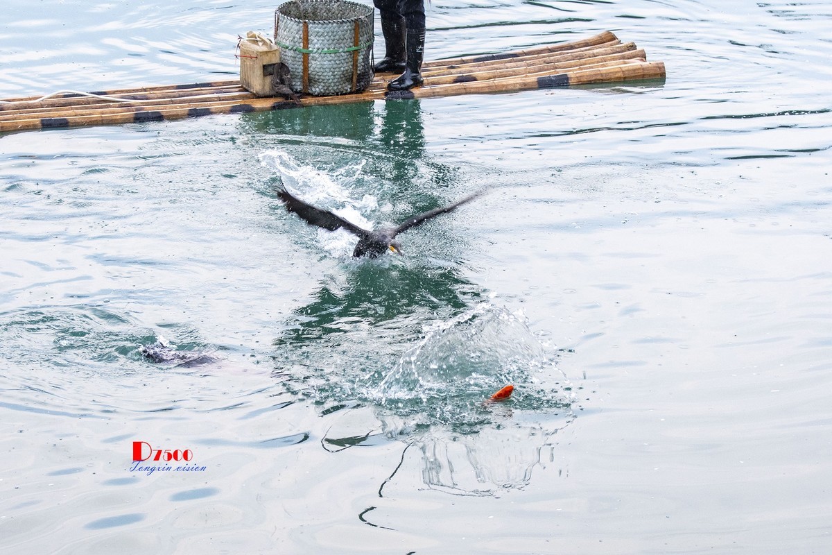 三月下江南——楠溪江狮子岩（15）