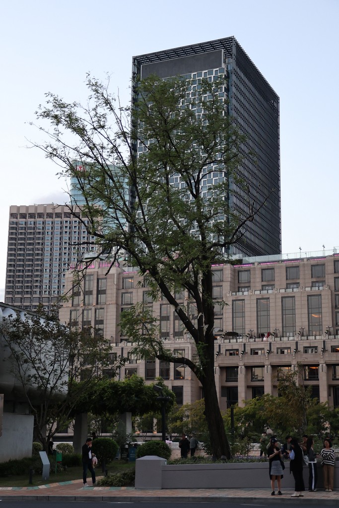 在外滩源随拍建筑