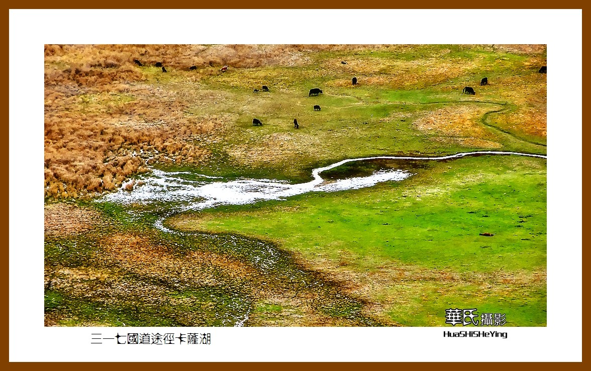 2023西行游记（四川045）—三一七国道途径卡萨湖（甘孜州炉霍县）