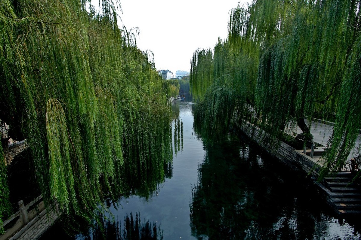 初冬——护城河●环城公园景色