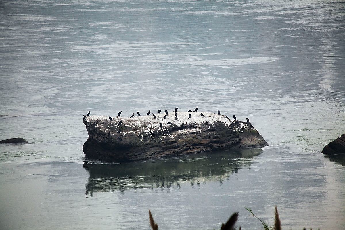长江第一城——宜宾（二）