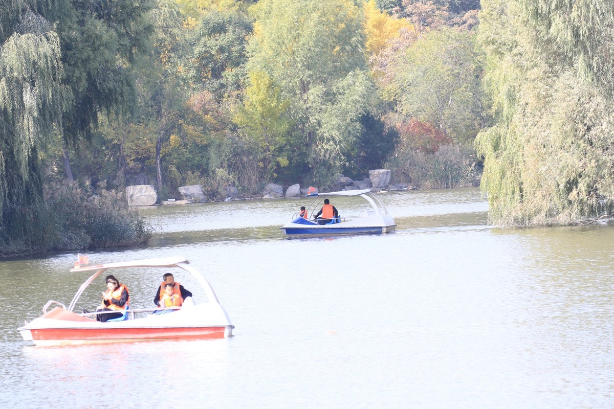 湿地公园的游客